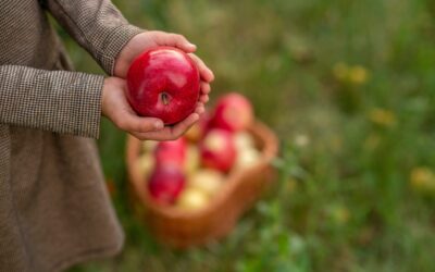 Holistic health 2024 